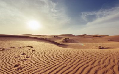 Thriving in the Desert Places