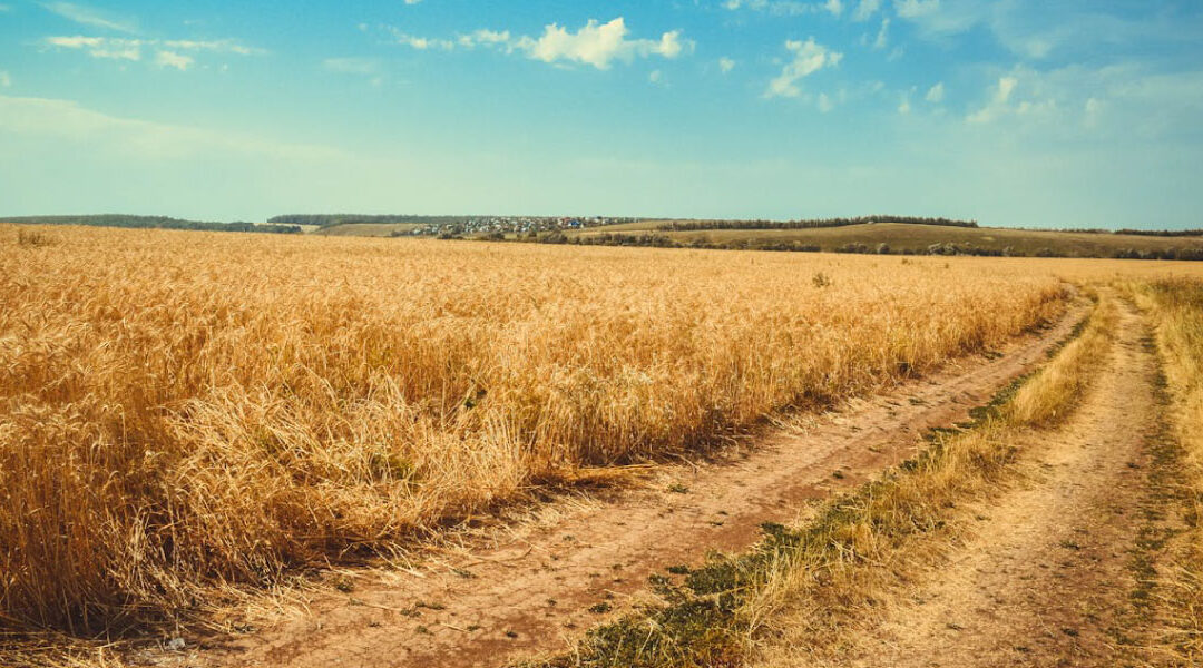 Challenges In The Journey