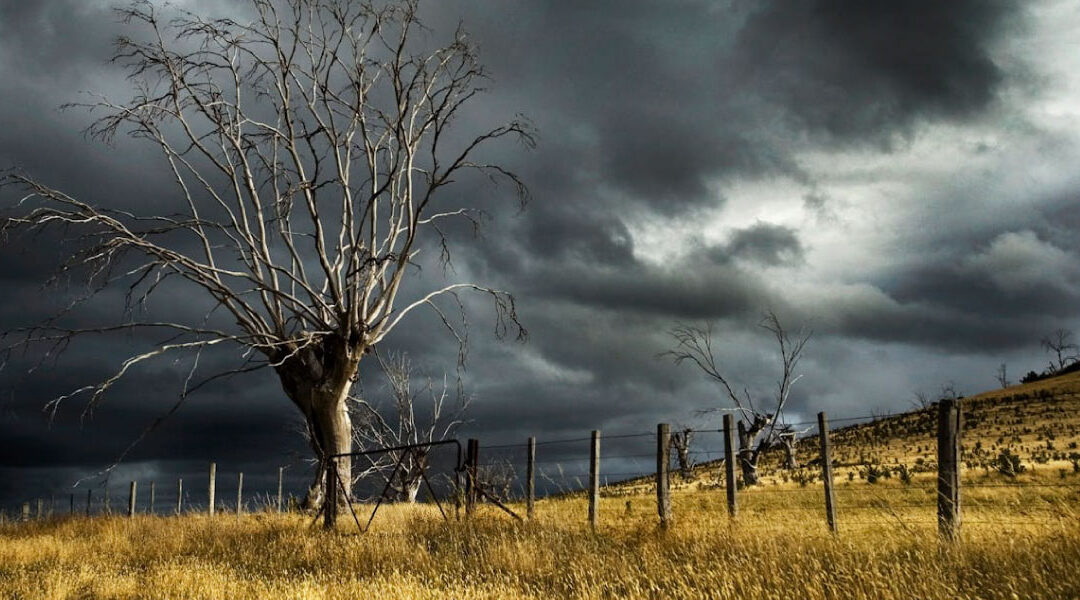 Navigating Seasons of Emptiness