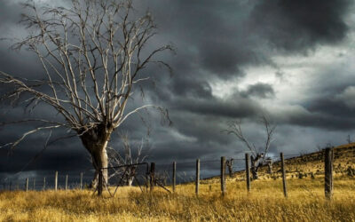 Navigating Seasons of Emptiness