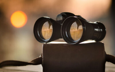 Vision Evolves